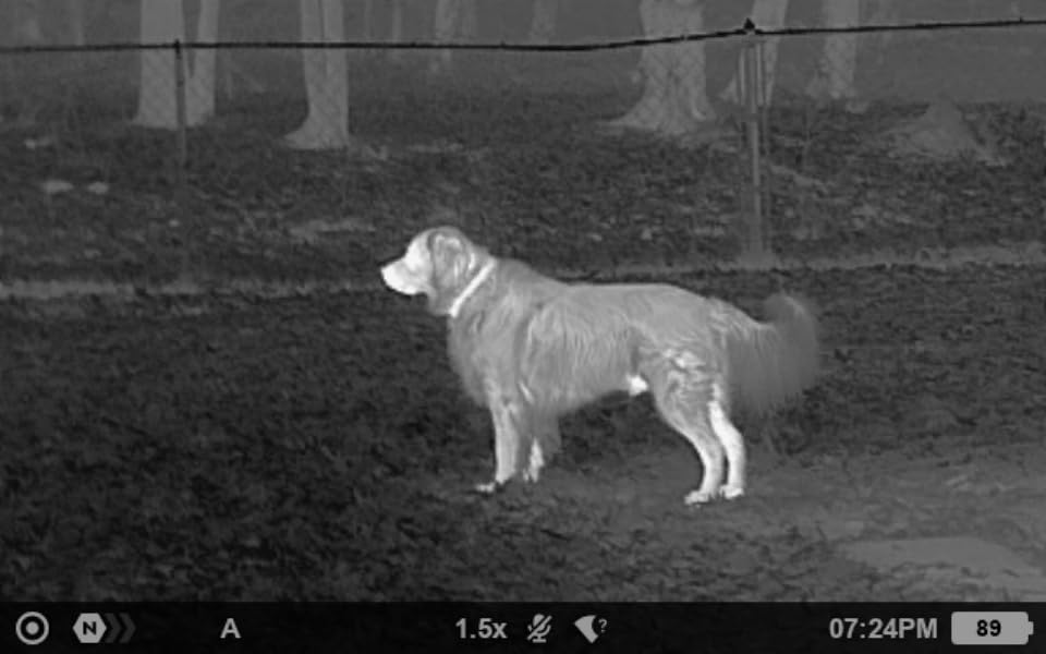 Pulsar Axion Compact Thermal Monocular customer photo 1