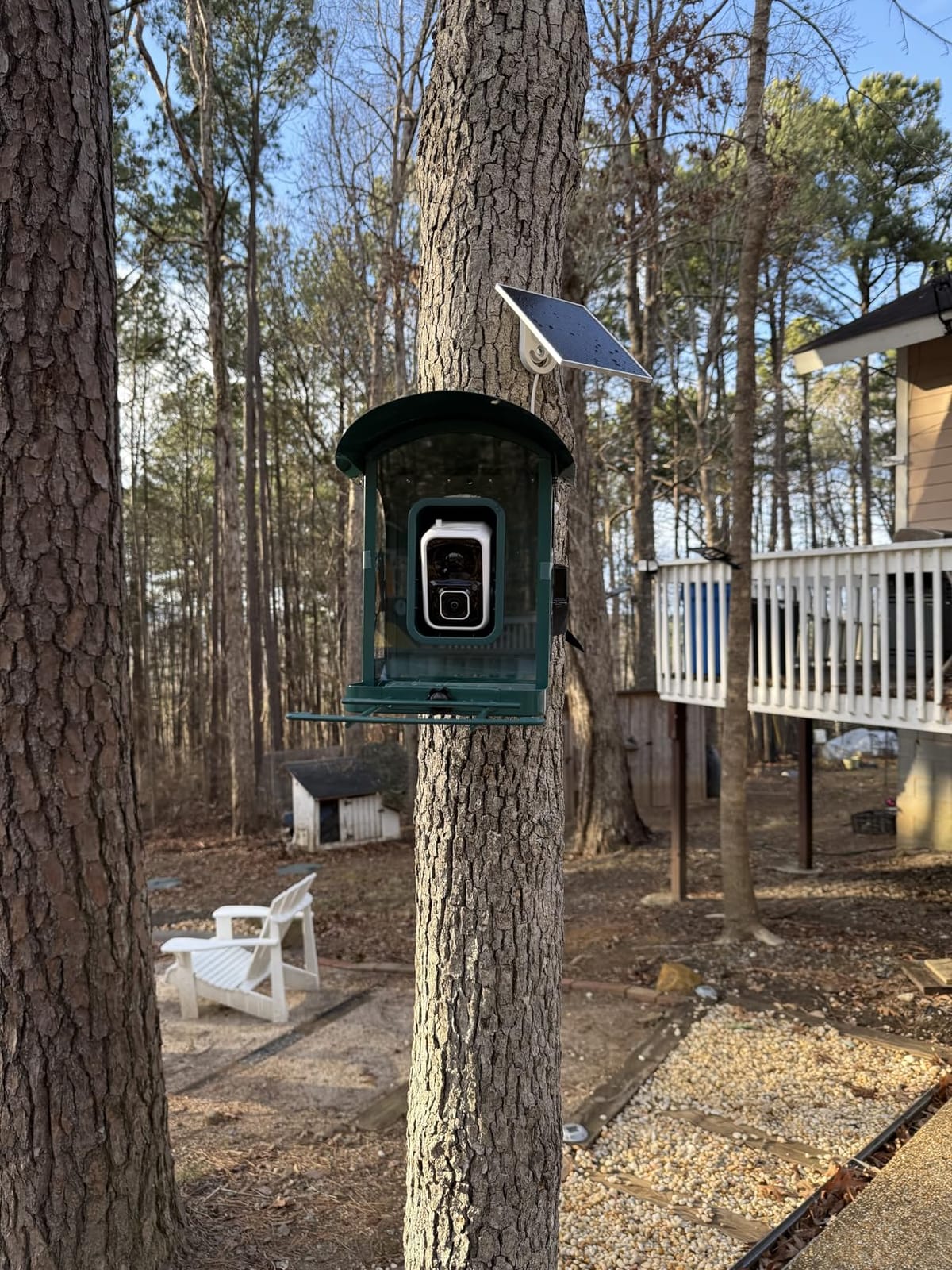 Bird Feeder with Camera, 4K Ultra HD Video with 30fps Live View, 10x Slow Motion, No Subscription, Solar Powered AI Smart Bird Feeder with Camera, 2.4G/5G Wi-Fi, Durable Metal customer photo 1