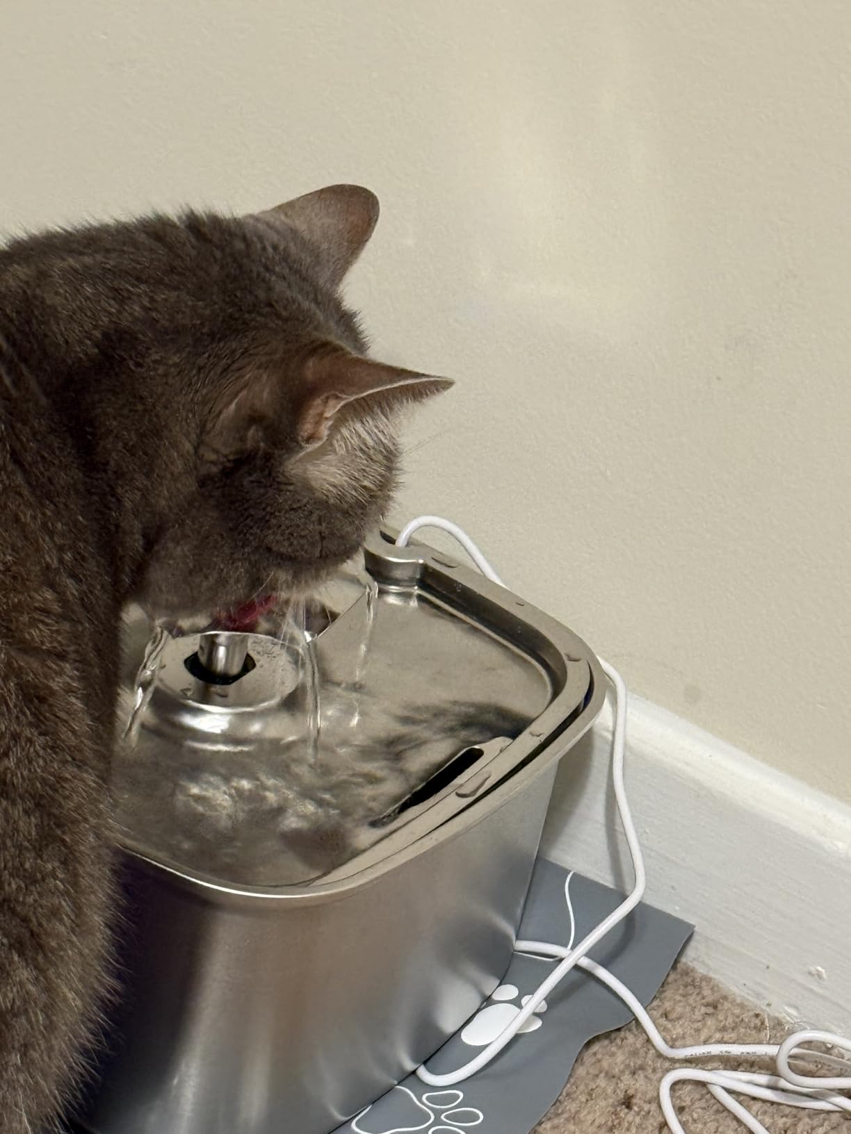 Veken Innovation Award Winner Stainless Steel Cat Water Fountain, 108oz | Automatic Pet Fountain Dog Water Dispenser with 3 Replacement Filters & Silicone Mat, Gifts for Cats, Dogs (Silver) customer photo 2