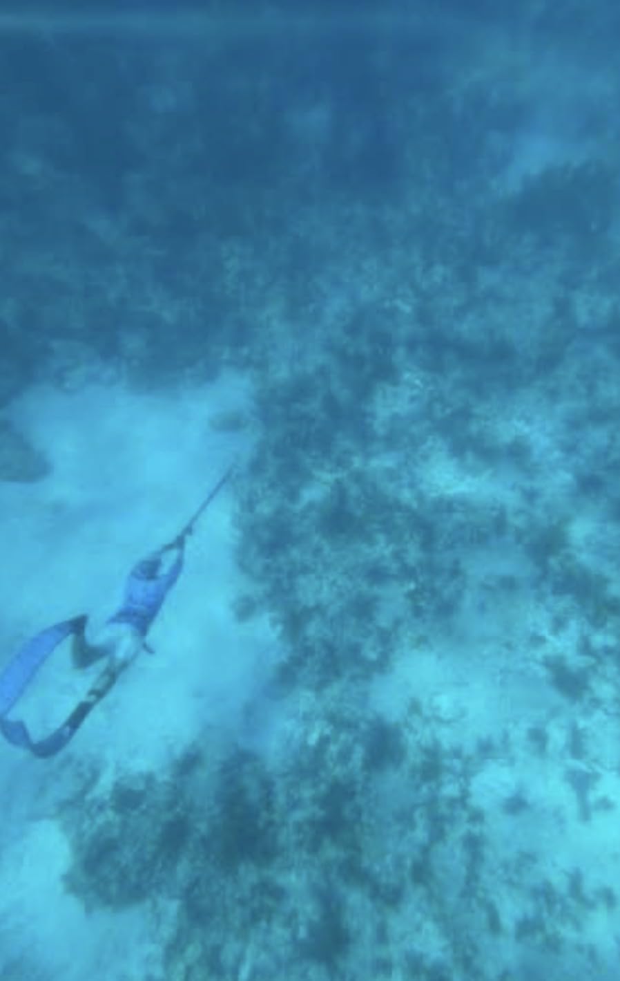 Underwater Fishing Camera with DVR Video Recording, 4.5