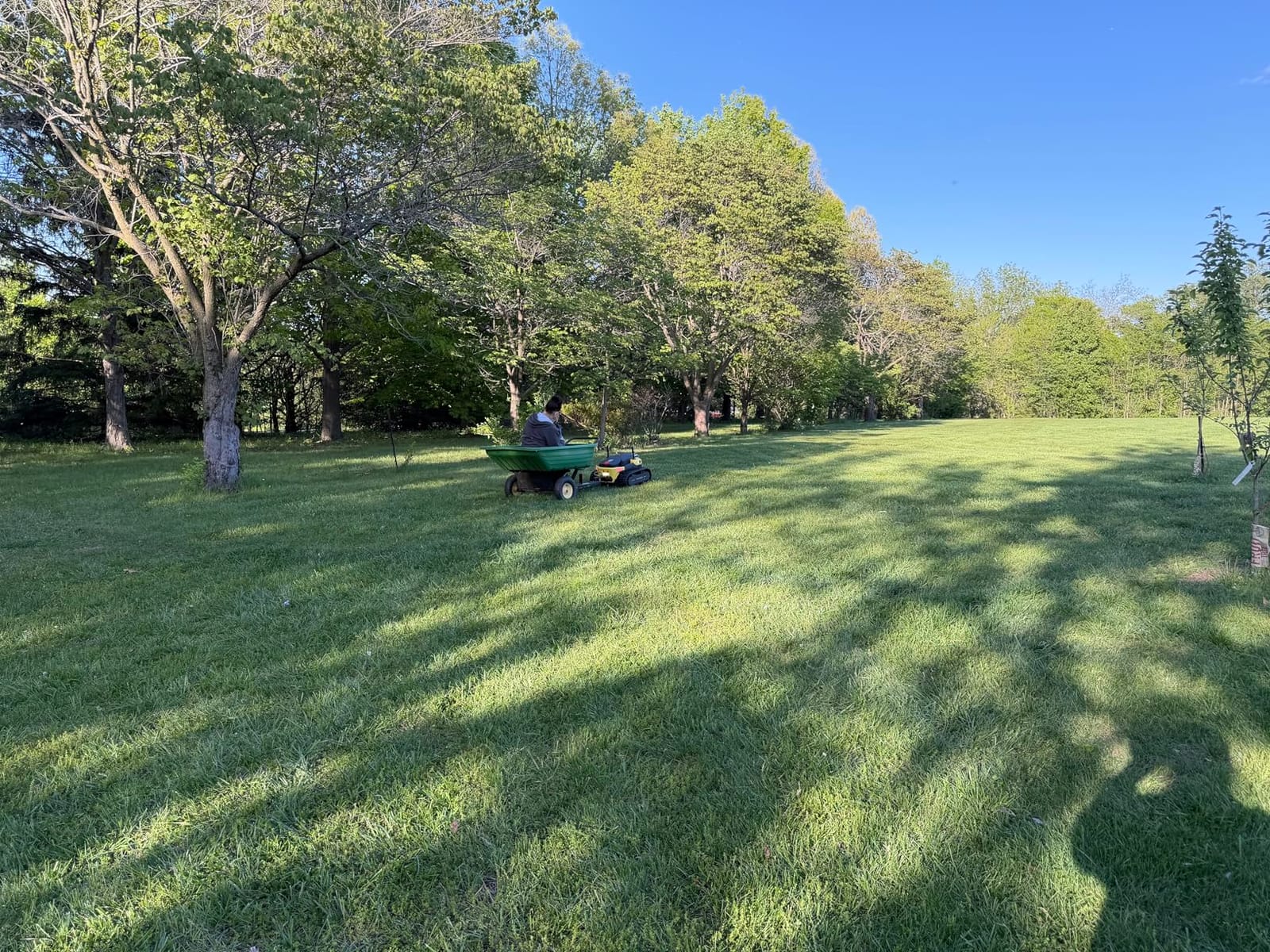 YARBO Robot Lawn Mower, Wire-Free with Modular Design, Covers 6 Acres | Dual 150W Motors, AI Vision + RTK Navigation, 70% Slope, 1.2