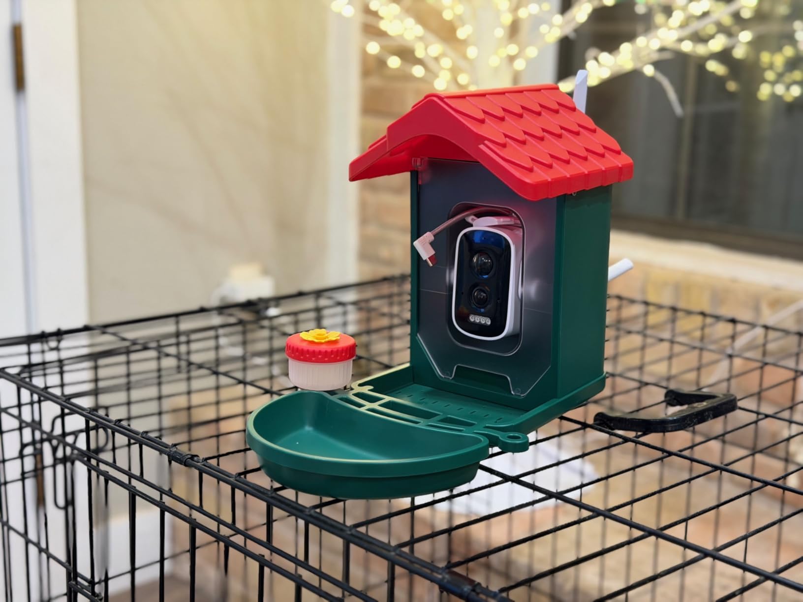 VISIOGEAR 2-in-1 Smart Wild Bird Feeder & Bath with 4K HD Camera, AI Identification Solar Bird Feeder Watching Camera Night Vision for Outdoor Birds Watching Gifts for Birdlover, Red & Green customer photo 1