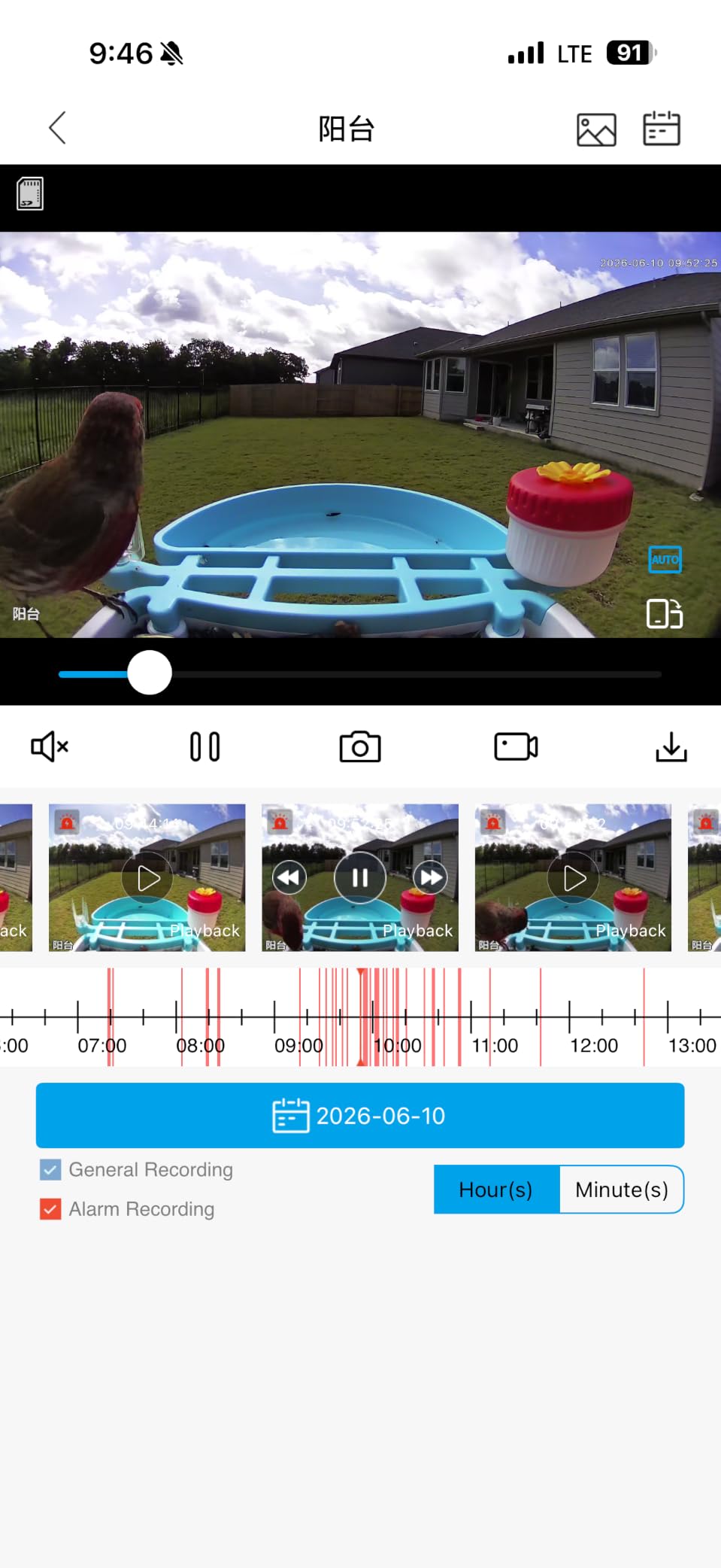 VISIOGEAR 2-in-1 Smart Wild Bird Feeder & Bath with 4K HD Camera, AI Identification Solar Bird Feeder Watching Camera Night Vision for Outdoor Birds Watching Gifts for Birdlover, Red & Green customer photo 2