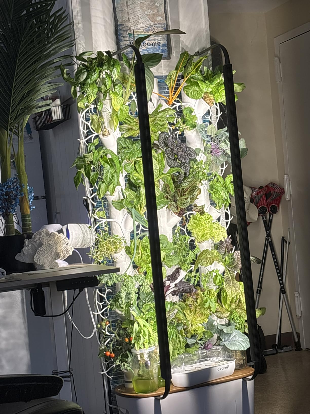 Gardyn Home 4 Vertical Hydroponics Growing System Kit - 30 Plants AI-Powered customer photo 2