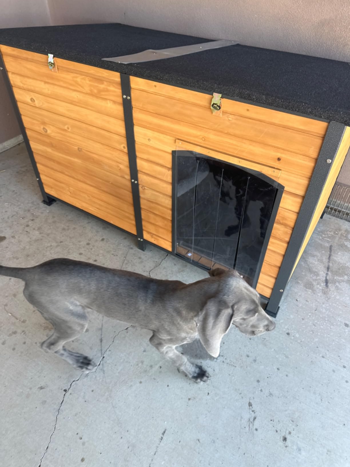Extra Large Heated Dog House Outdoor for Large Breed Dogs, Insulated Dog Kennel Outside, Metal Frame,Weatherproof Dog Shelter with Porch and Elevated Floor, for XL Big Dog (Heating Pad) (Brown) customer photo 2