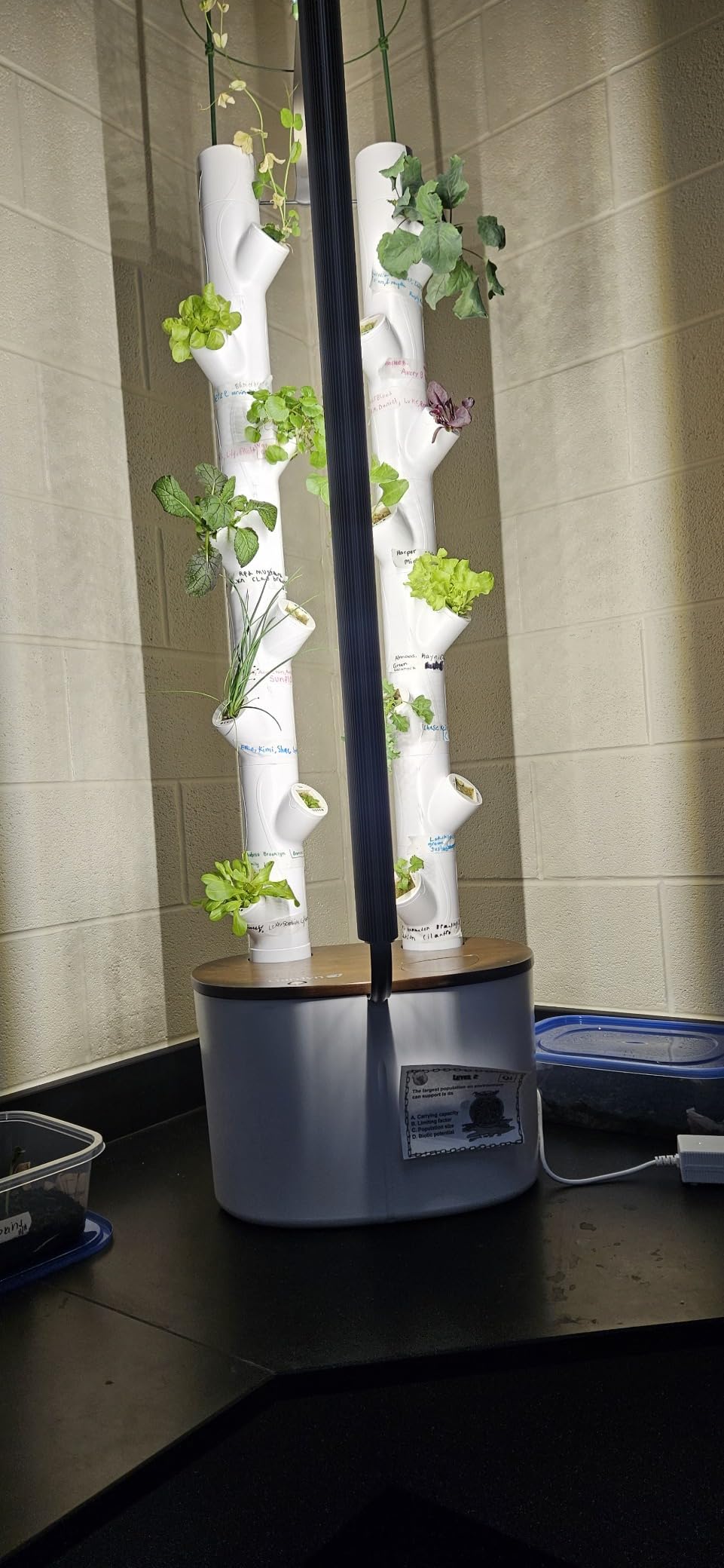 Gardyn Studio 2 Hydroponics Growing System - 16 Plants, Smart Tower | New & improved, non-GMO plants, herbs, vegetables, hydroponic herb garden planter indoor kit with grow lights customer photo 1
