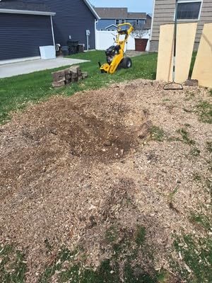 MechMaxx 12 Inch DUCAR 420cc 15HP Gasoline Engine Root Stump Grinder Tree Stump Removal, 8pcs Alloy Teeth, 12'' Cutting Height And 10'' Cutting Depth, Wheel Brake System, SGR1500 Yellow customer photo 1