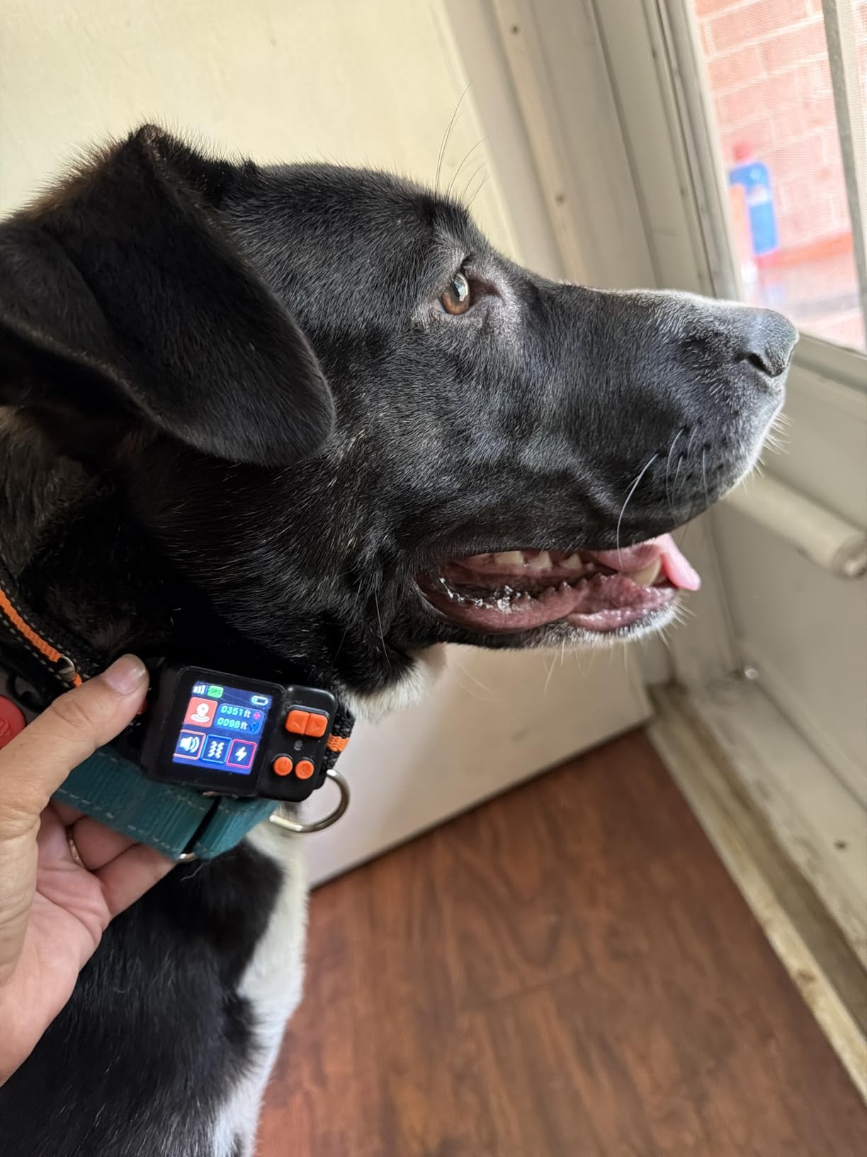 GPS Wireless Dog Fence System Collar 2 Modes 1 Pack No Monthly Fee for Dogs | ONLY OUTDOOR Circular & Free-Form Boundary, GPS Chip Invisible Virtual Fence, Rechargeable Pet Containment System for Dogs customer photo 2
