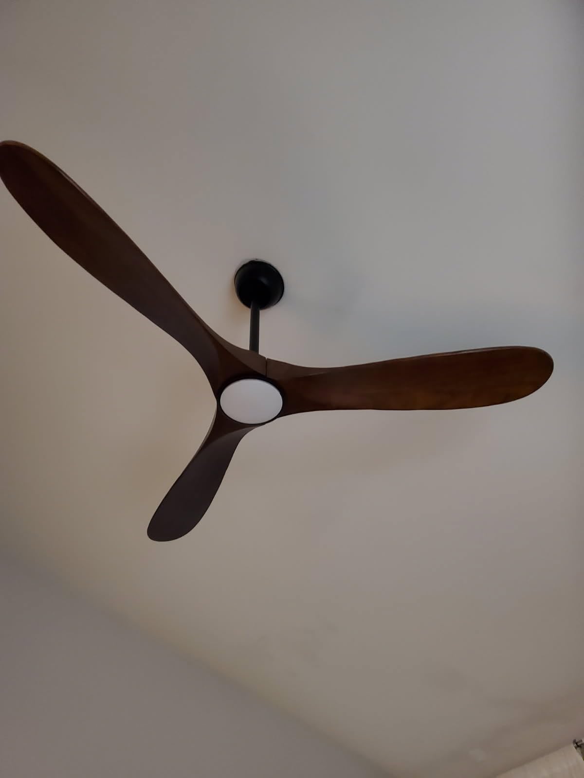 heimo 52 Inch Ceiling Fan with Light and Remote, Wood Outdoor Ceiling Fans with Lights Dimmable for Bedroom Living Room Patios Kitchen Modern 3 Blade Propeller Indoor Fan (Walnut) customer photo 2