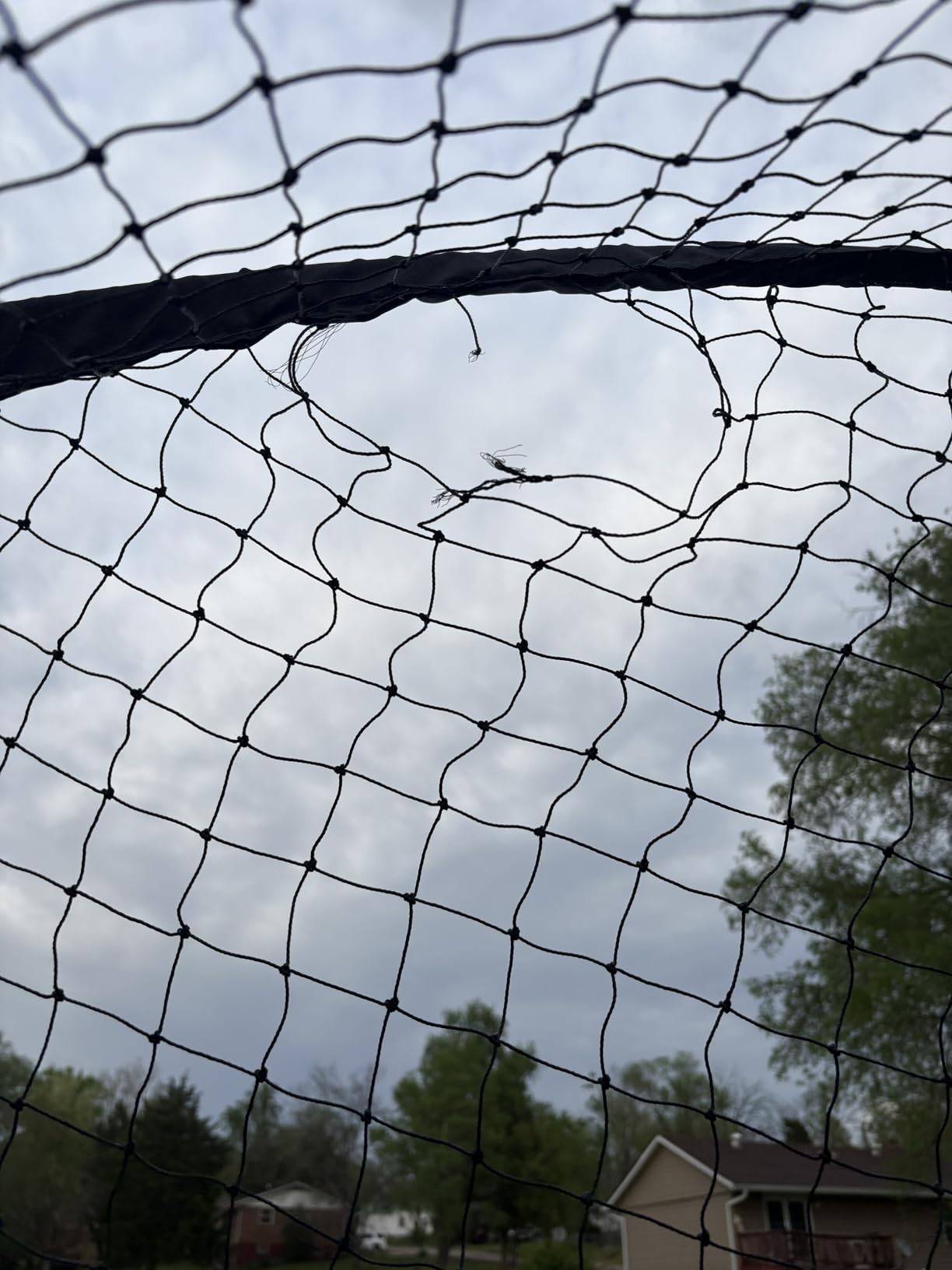 VEVOR Baseball Batting Cage, Carbon Steel/Fiberglasss Portable Batting Cage - 12/20/22/33/35/40 Ft Portable Practice Softball Cage Net and Frame, Battings Cages Netting for Backyard, Indoor Outdoor customer photo 1