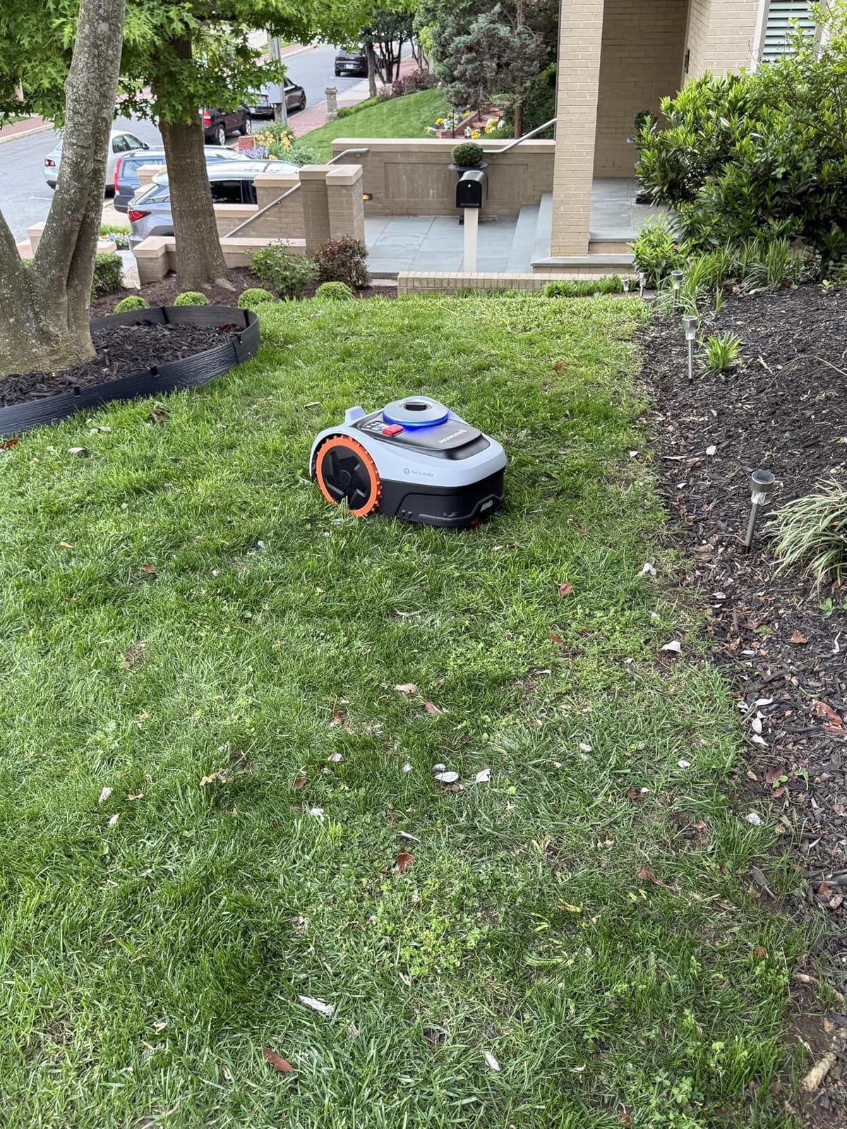 Segway Navimow i206 AWD Robot Lawn Mower, New i105N, 0.15 Acre, 45% Slopes | Perimeter Wire-Free Setup, NRTK-Vision Auto Mapping, Zero-Turn Steering, 2-3.6-Inch Cutting Height, 20-Zone App Control customer photo 1
