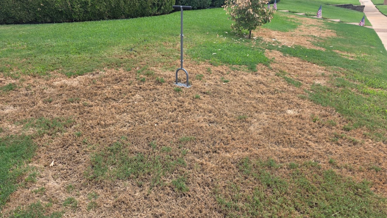 Walensee 4-Row Lawn Aerator Tool with 20 Steel Spikes for Small Yards | Garden lawn aerator tool creates 20 small holes per press for grass aeration, improving air, water and nutrient flow to roots customer photo 1