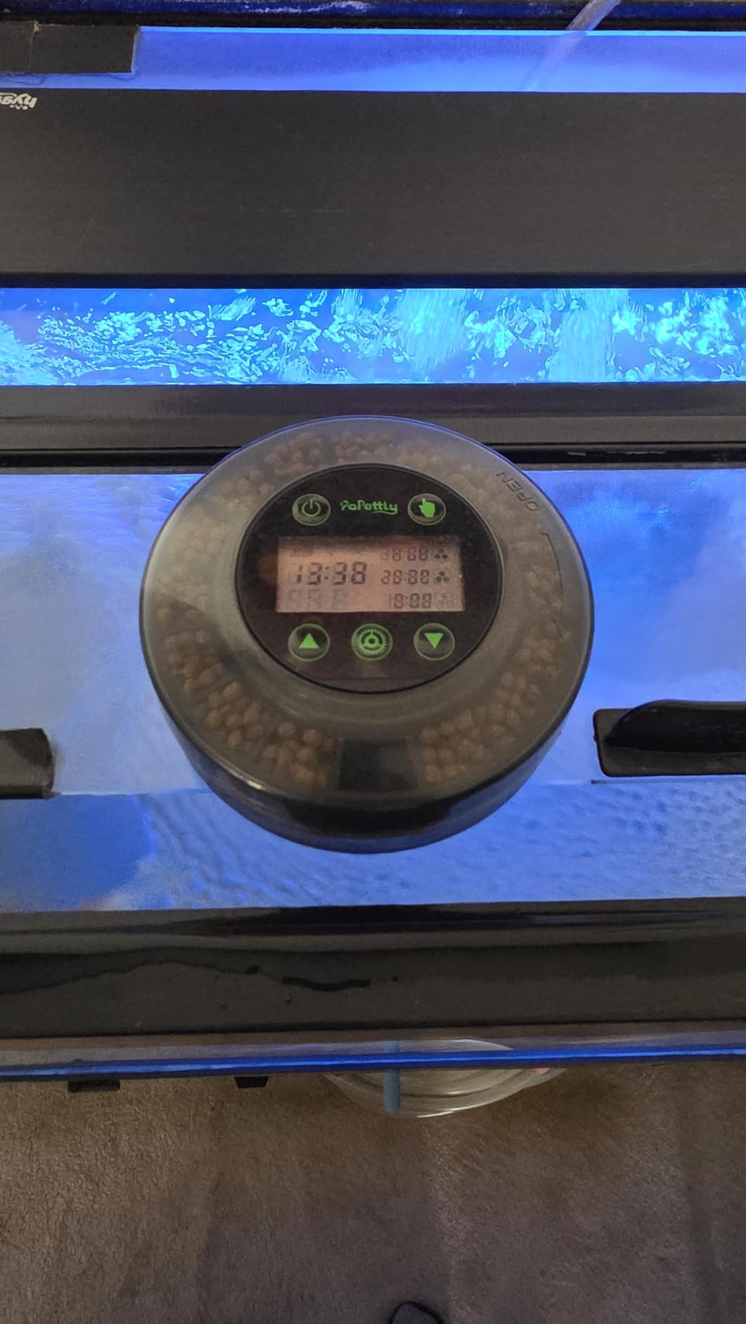 Papettly Automatic Fish Feeder for Aquarium - Auto Fish Food Dispenser for Fish Turtle Tank with USB Cable & LCD Display, Timer Fish Feeder for Vacation Weekend Holiday, with Fish Feeder Spoon customer photo 1