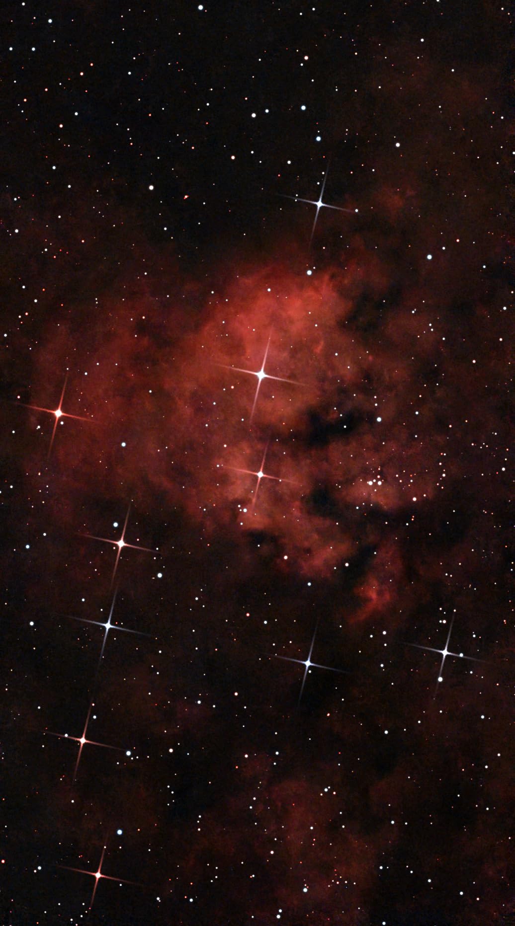 DWARFLAB Dwarf Mini Smart Telescope - 1.85lb Portable Astronomy Telescope | App Control, Auto GOTO, AZ/EQ Modes, 90-Second Exposure, Light Pollution Filter, 360 Degree Pivot Freedom, Built-in Processing customer photo 1