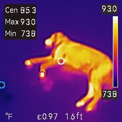 GT14S Thermal Imaging Camera with Edge Enhancement, Thermometer Mode | Infrared Camera -4°F to 1202°F Range, 240g Compact Design, 25Hz Image Frequency, 14H Runtime for HVAC/Home Inspection customer photo 1