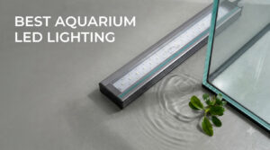 best aquarium led lighting