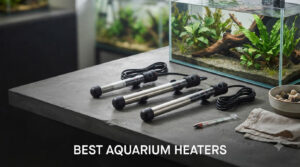 best aquarium heaters