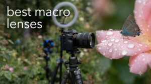 best macro lenses