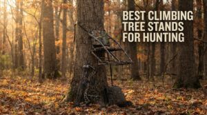 best climbing tree stands for hunting
