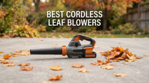 best cordless leaf blowers