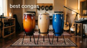 best congas