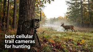best cellular trail cameras for hunting