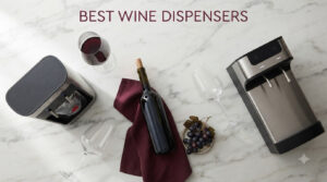 best wine dispensers