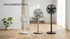 best pedestal fans