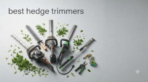 best hedge trimmers