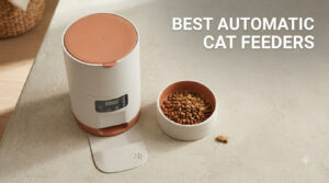 best automatic cat feeders