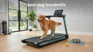 best dog treadmills
