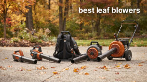 best leaf blowers
