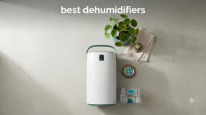 best dehumidifiers