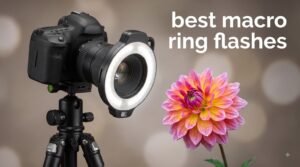 best macro ring flashes