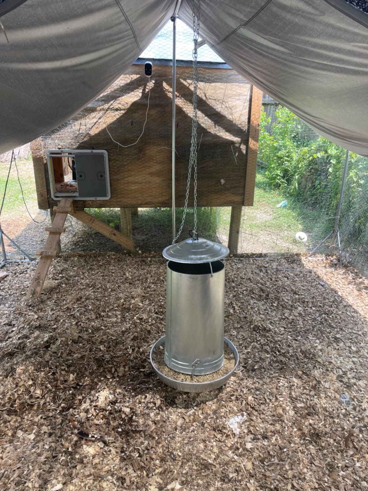 Little Giant® Hanging Metal Poultry Feeder | Chicken Feeder | Outdoor Hanging Bird Feeder | Galvanized Steel Feed Container with Hanging Handle | 40 Pound customer photo 1