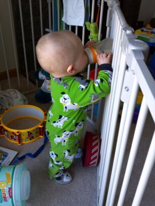 Toddleroo by North States - 3 In 1 Metal Superyard Baby Play Yard: 6 Panel Playpen, Safety Gate, or Extra Wide Baby Fence - Encloses Up to 10 Square Feet - 30 Inches Tall - Taupe customer photo 2