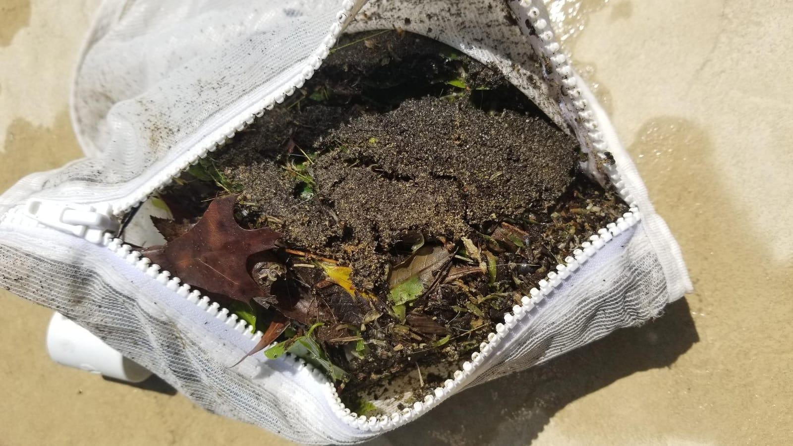 Polaris Vac-Sweep 280 Pressure-Side In-ground Pool Cleaner customer photo 1