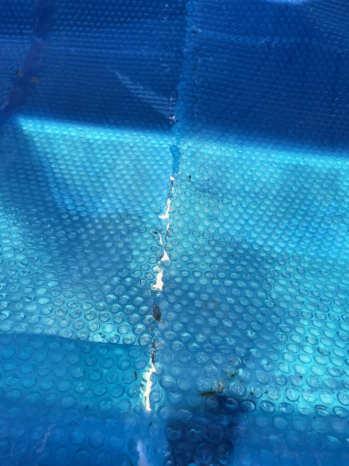 Blue Wave NS405 12-mil Solar Blanket for Rectangular In-Ground Pools, 12-ft x 24-ft, Blue customer photo 2