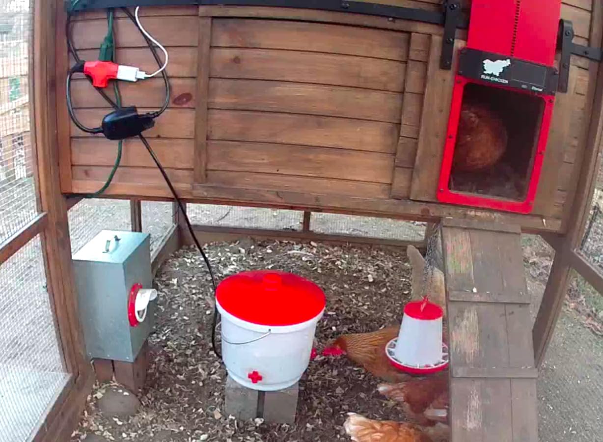 Farm Innovators HB-60P Heated Poultry Waterer Drinker, 2-Gal, 60W customer photo 2