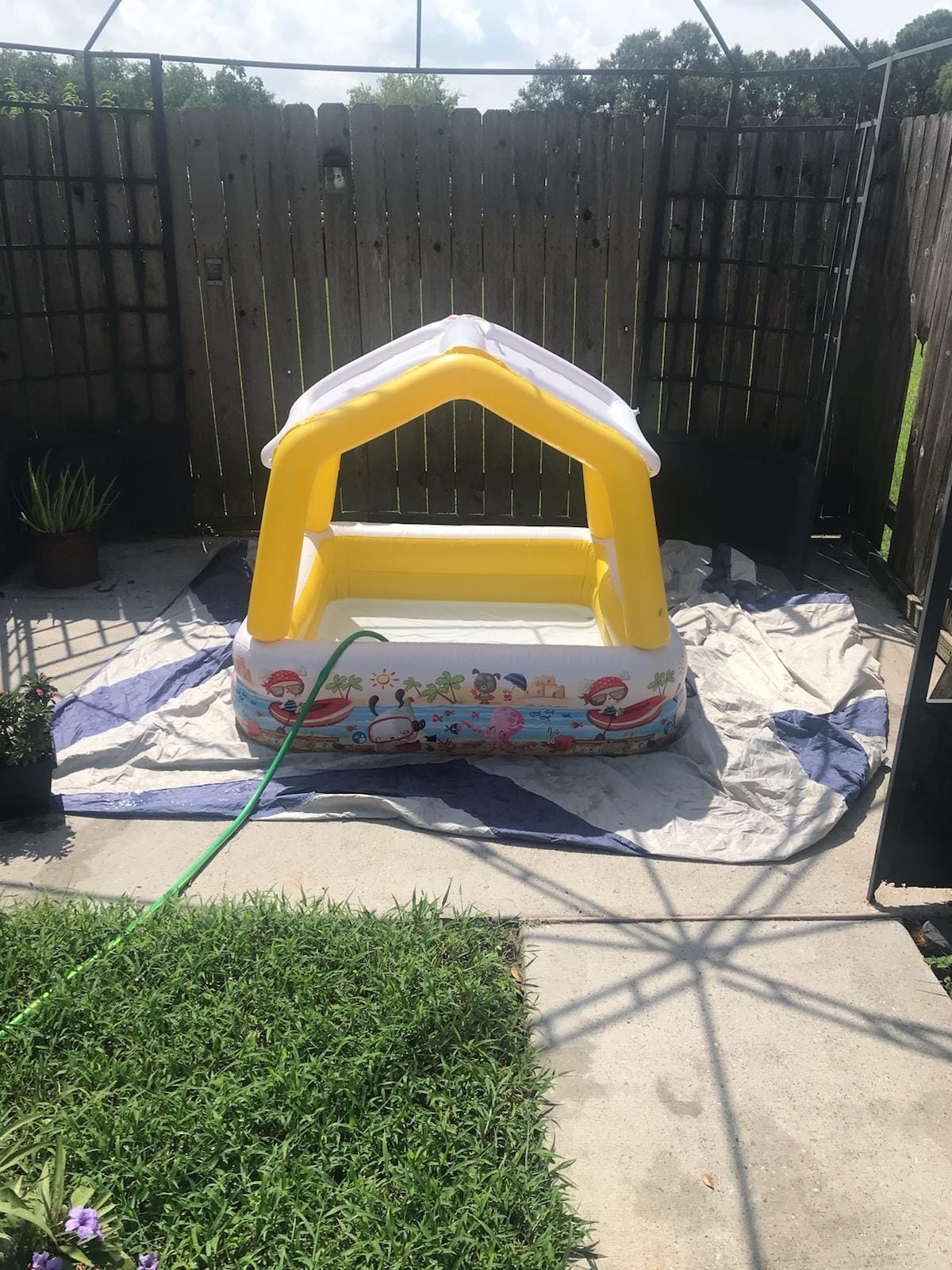 Intex 57470EP Sun Shade 5 Foot Square Inflatable Durable 10 Gauge Vinyl Kiddie Pool with Ocean Scene and Canopy for Ages 3 Years and Up, Multicolor customer photo 2