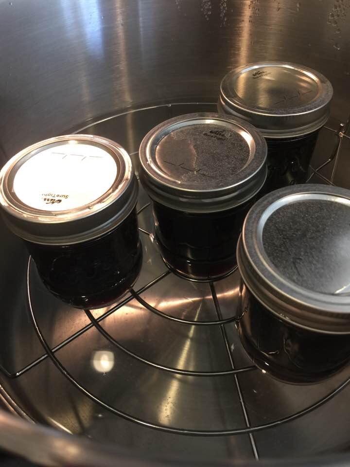 Harvest Stainless Steel 20 Qt Canning Pot with Rack | Water Bath or Steam Canning | Works on All Stovetops Including Induction, Glass, Gas (Stainless Steel Canner + Tools) (Stainless Steel Canner) customer photo 2