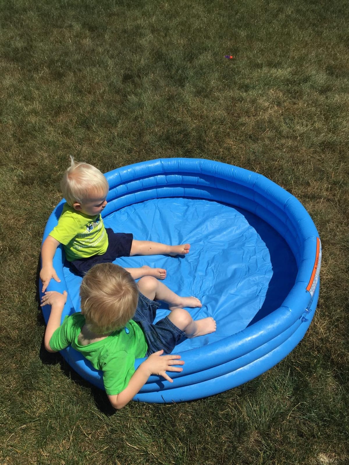 INTEX 58446EP Crystal Blue Inflatable Kiddie Swimming Pool, 66in x 15in customer photo 1