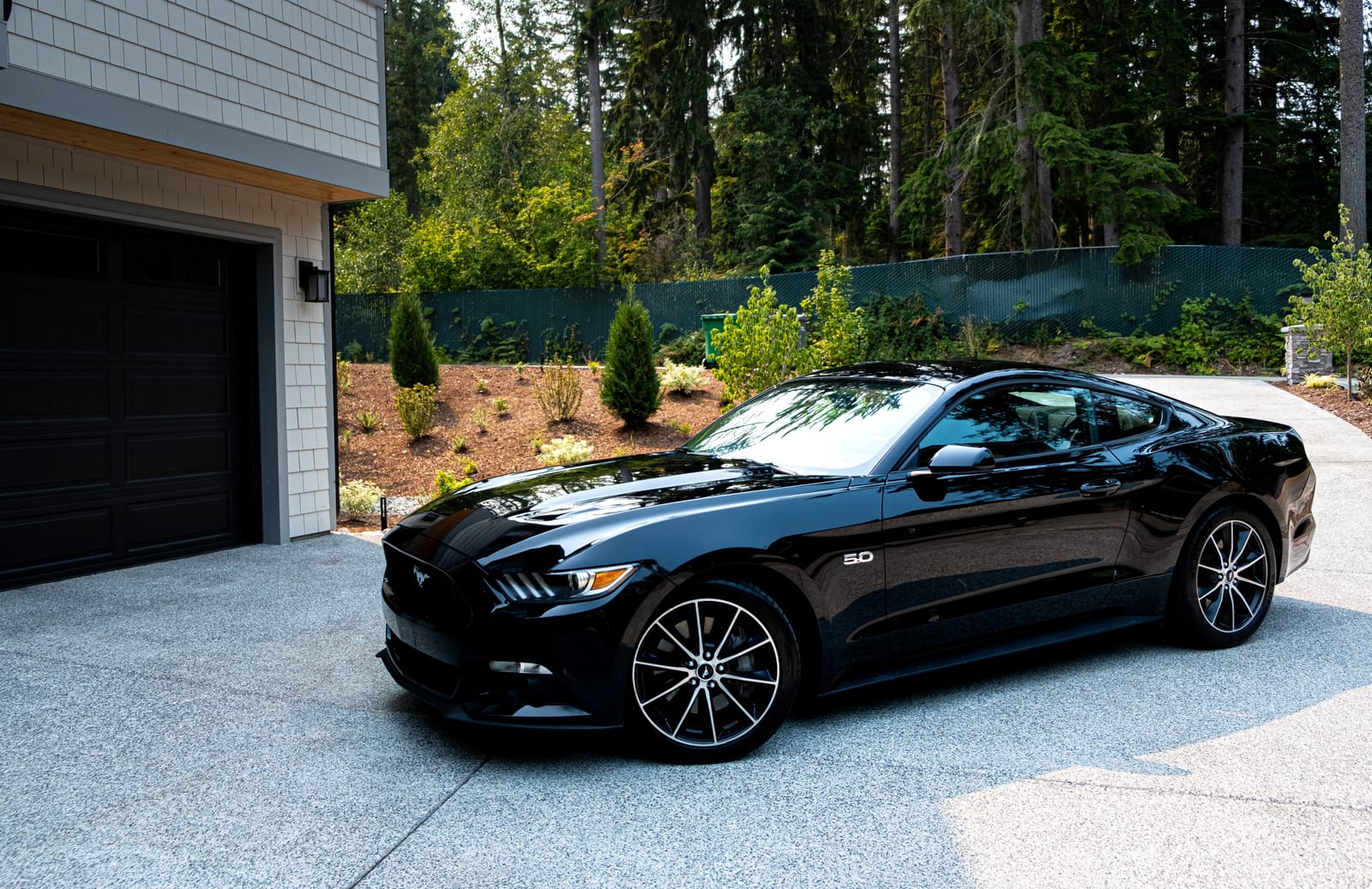 Chemical Guys, Black & Dark Color Paint Maintenance Kit, Gloss & Deep Shine customer photo 2