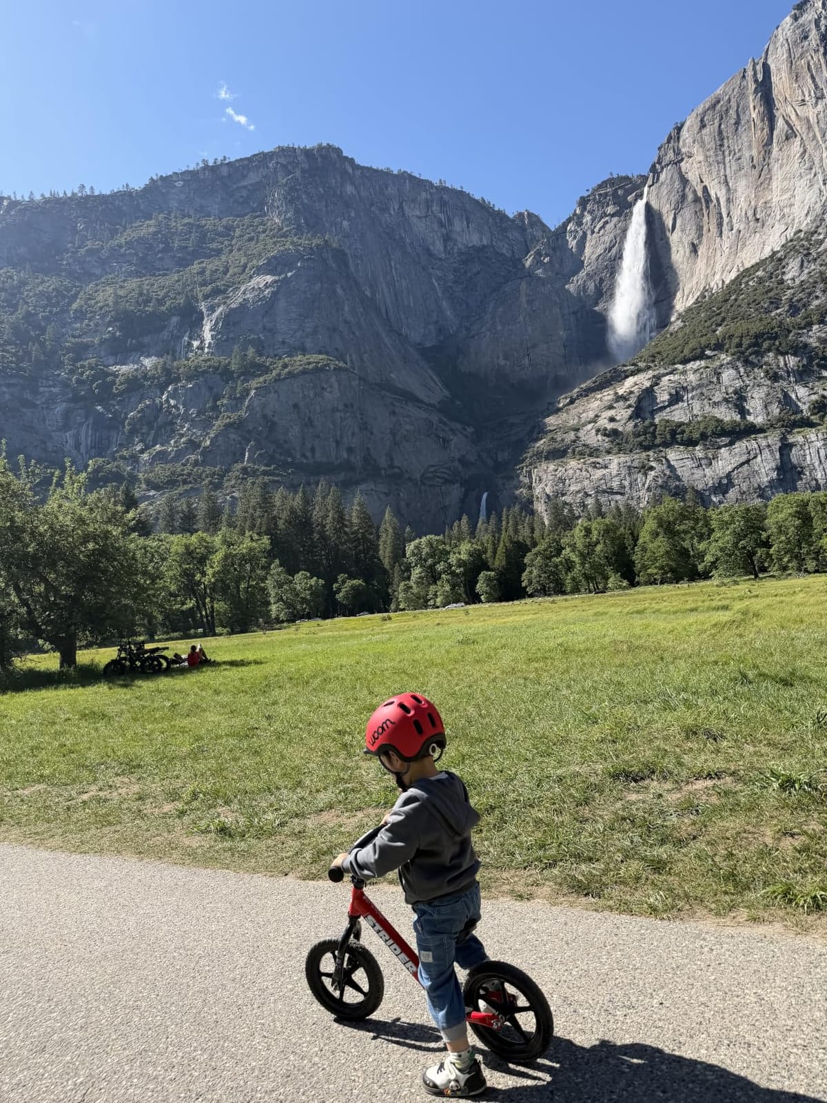 Strider 12 Sport, No Pedal Balance Bike for Kids Ages 1–4 Years, Blue customer photo 1
