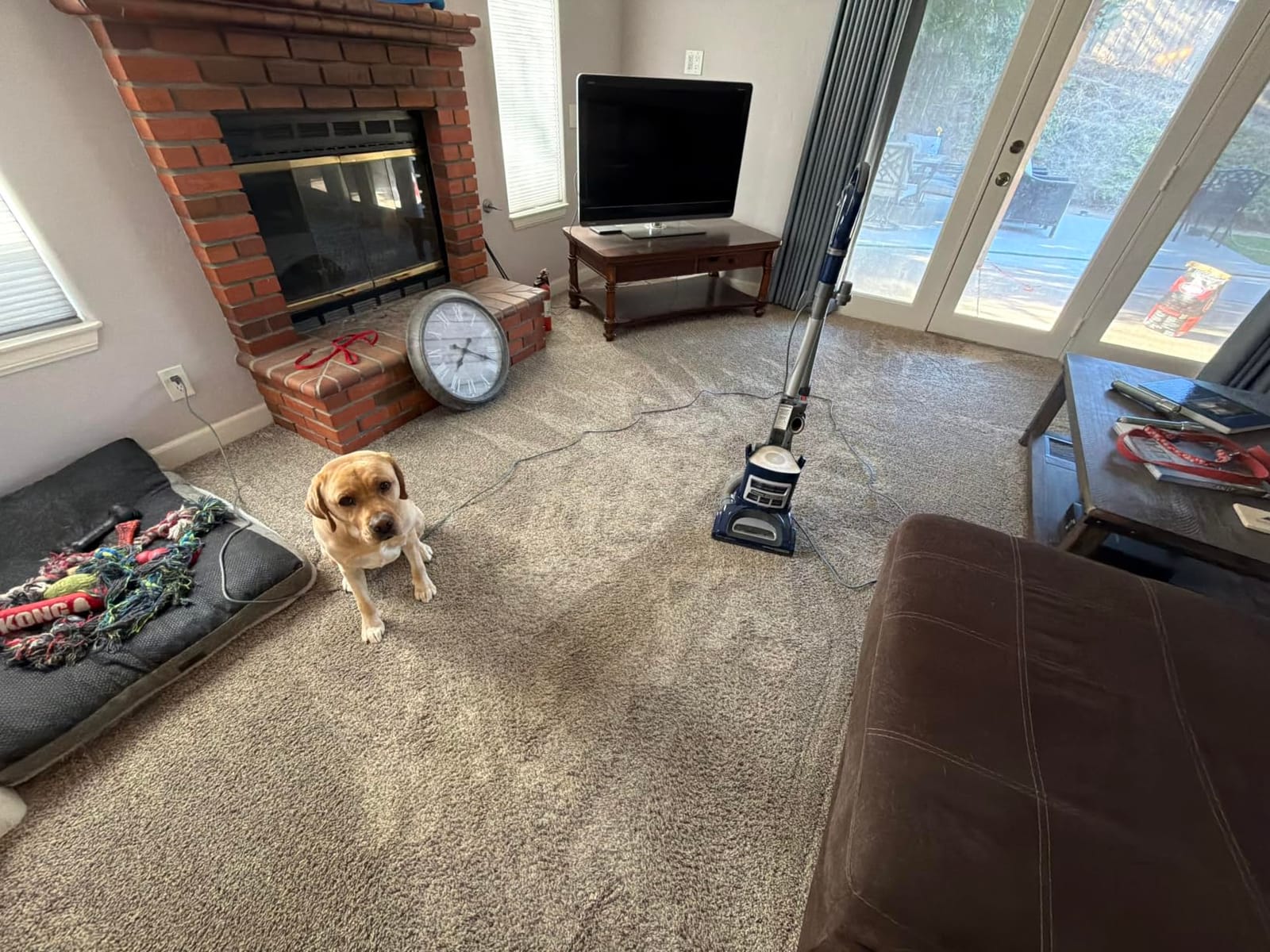 Shark Navigator NV360 customer photo 2
