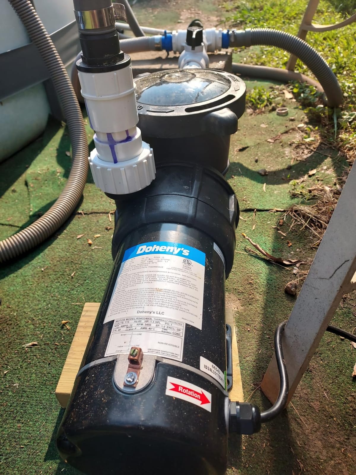 Doheny's 1.5 HP Above Ground Swimming Pool Pump customer photo 2