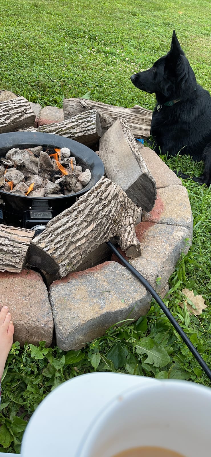 Outland Living Portable Propane Fire Pit, 19-inch, 58,000 BTU with Fire Pit Cover & Carry Kit, Smokeless Gas Firebowl | Perfect for Camping, Patio, Backyard, Tailgating, Deck, RV| Black 893 Deluxe customer photo 1