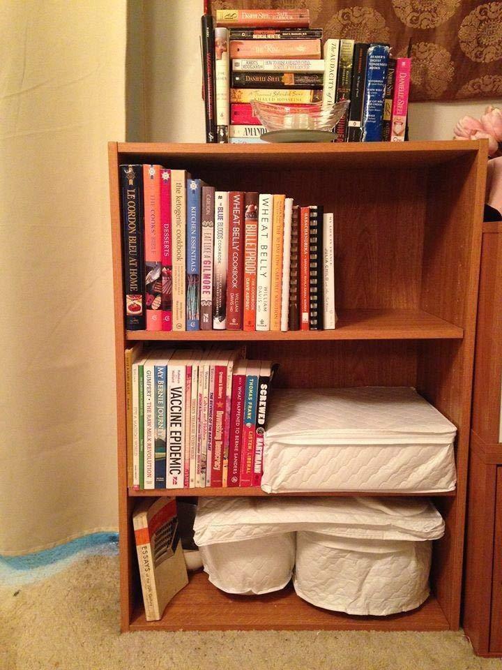 Sauder Beginnings 3-Shelf Bookcase, Bookshelf with Adjustable Storage Shelves, in Brook Cherry finish customer photo 1