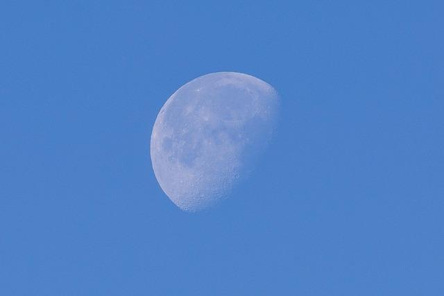 Canon EF 100-400mm f/4.5-5.6L is II USM Lens, Lens Only customer photo 2