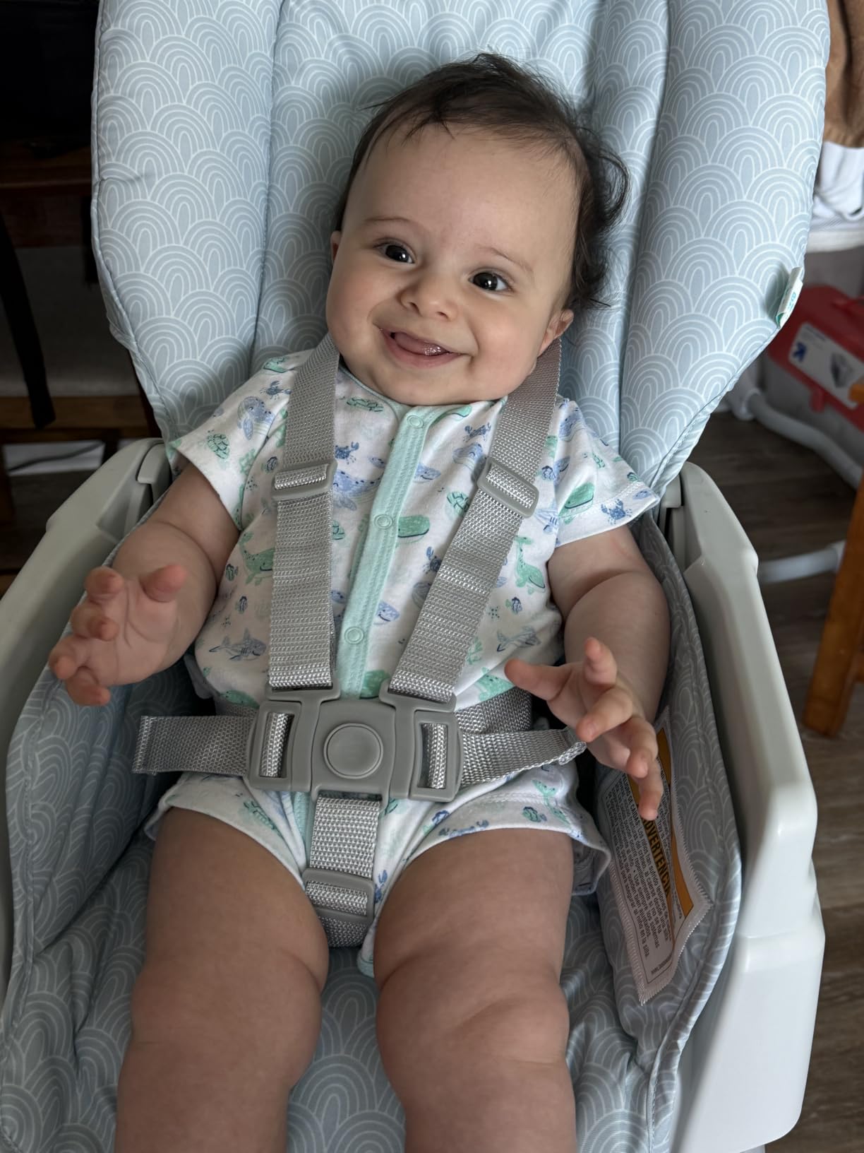 Graco® Slim Snacker High Chair, Ultra Slim, Fast-Folding, Multiple Recline Positions, Comfortable Feeding, Whisk customer photo 2